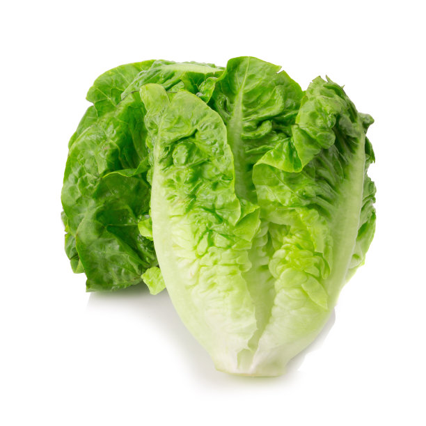 romaine