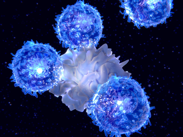 cd4