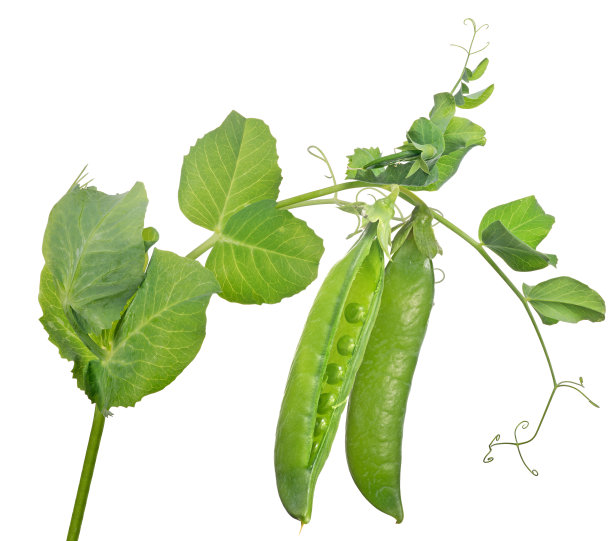 peas