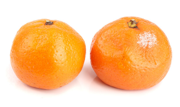 丑橘橘子