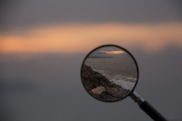 reflex