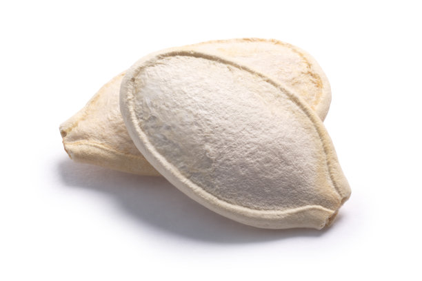 pepita