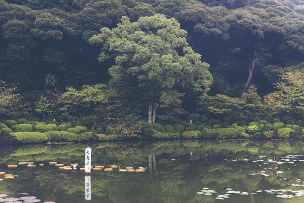 绿色东京风景名胜艺术