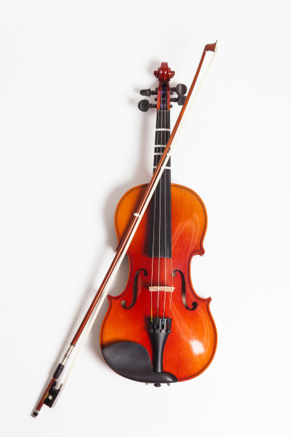 violin