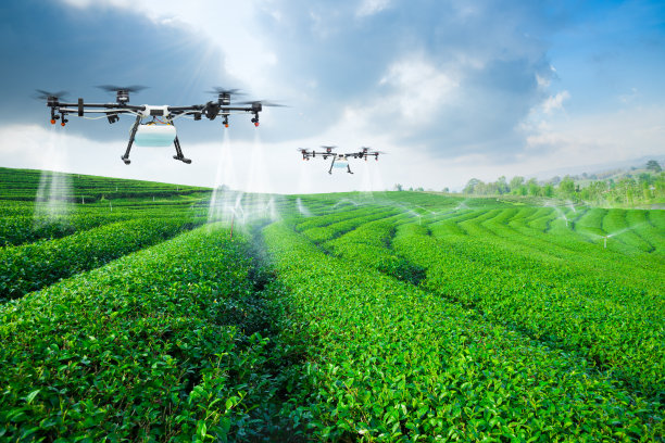 irrigation