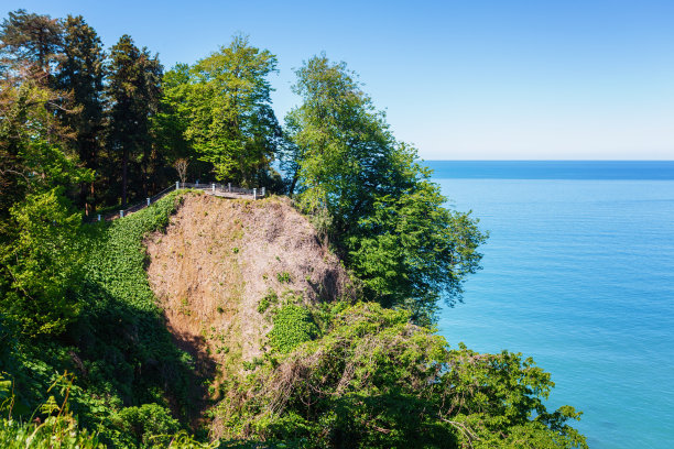 南植物园风景