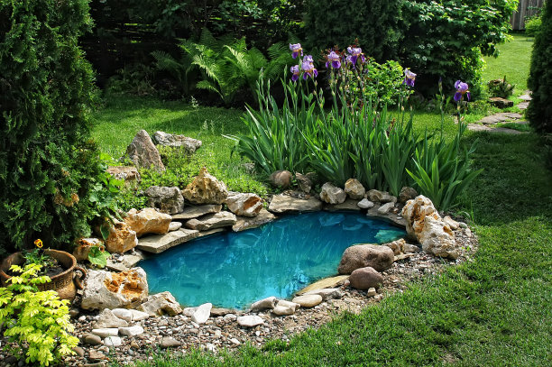 ponds