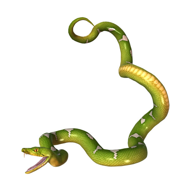 snake