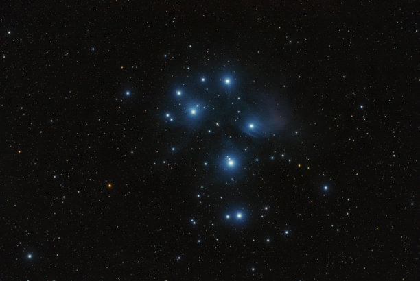 taurus
