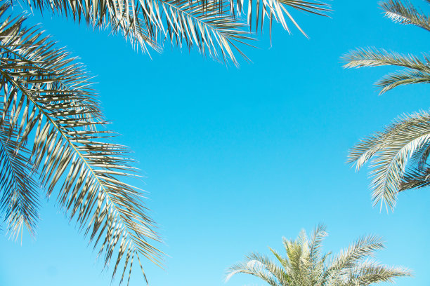 dhabi