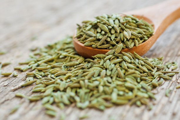 fennel