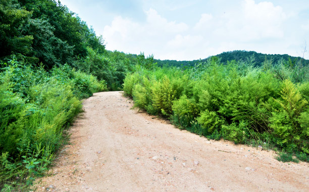 山野