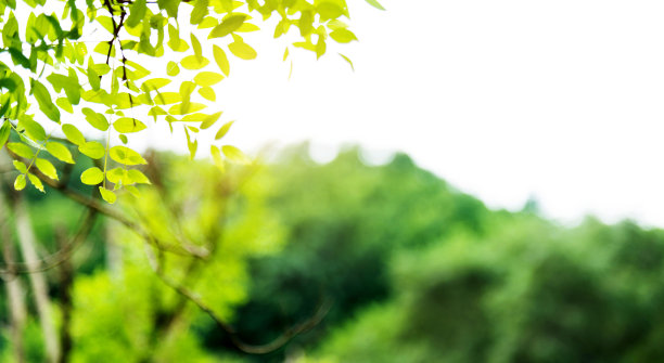 全国生态日背景