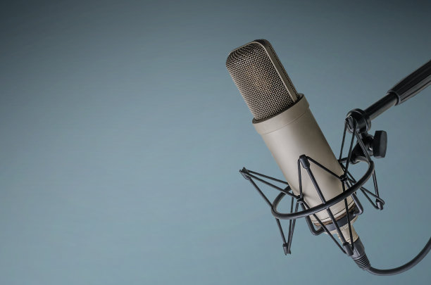 mic