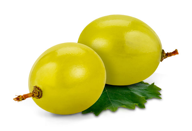 muscat