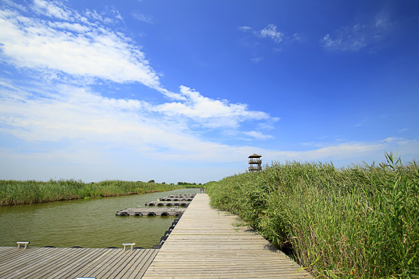 湿地生态旅游景区