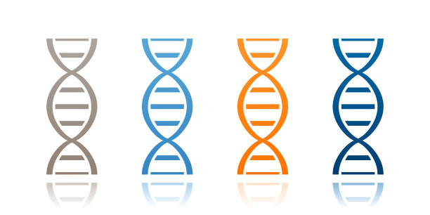 人类基因组码
