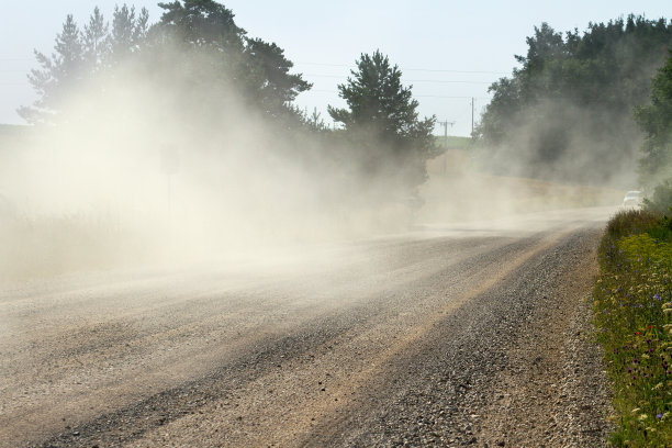 dusty