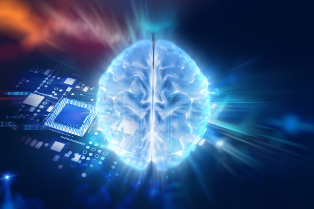 brain