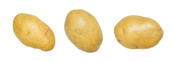 土豆全景图片