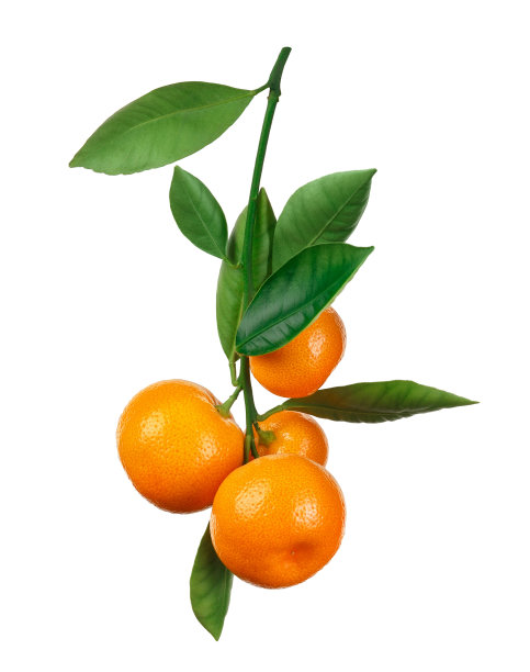 青柑