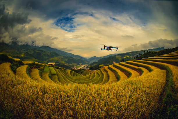 agricultural