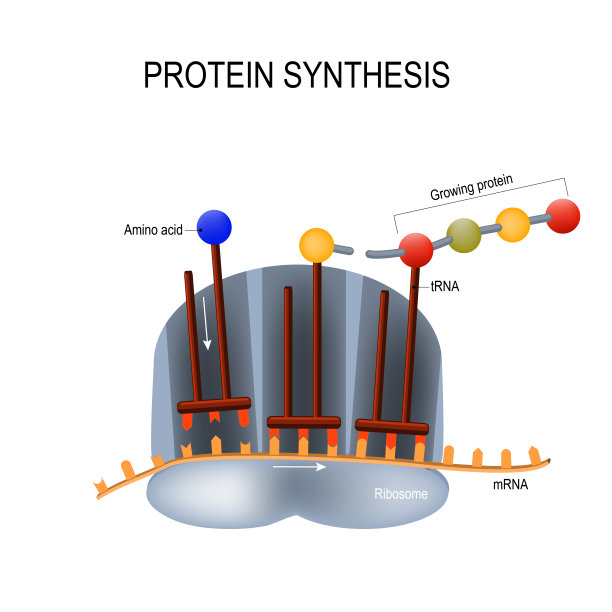 rna