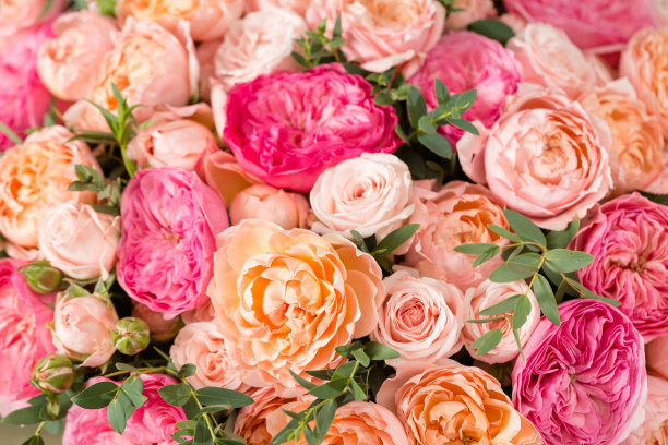 roses