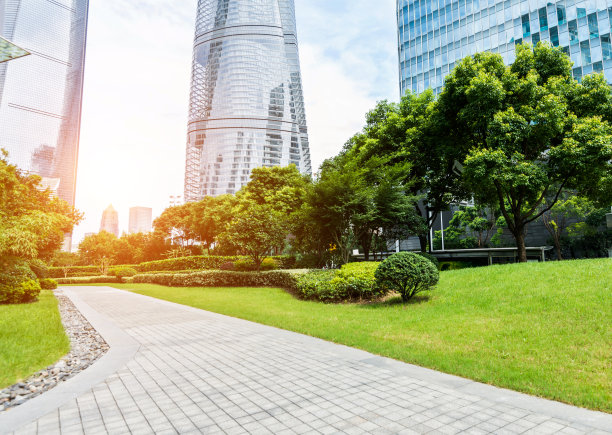 全国生态日背景