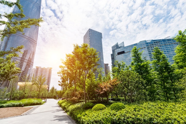 全国生态日背景