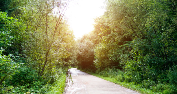 山林小路