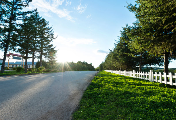 全国生态日背景