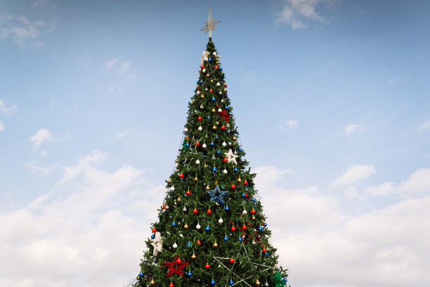 大型圣诞树