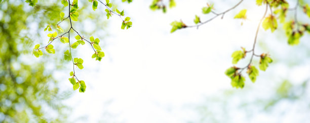 springtime