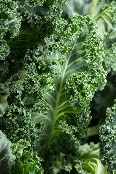 kale