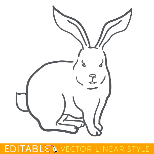 十二生肖兔子卡通