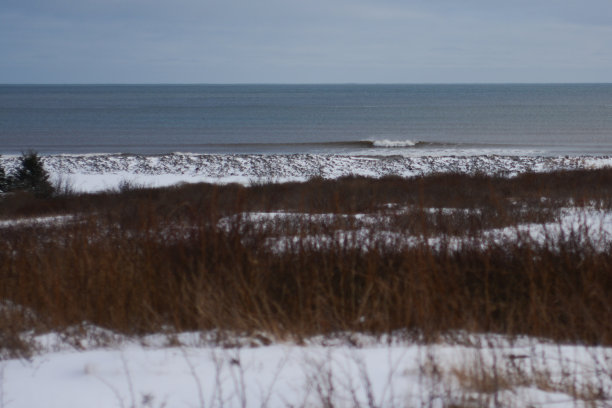 scotia