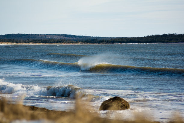 scotia