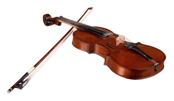 violin