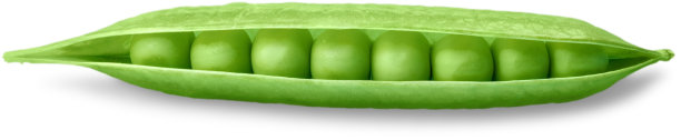 pod