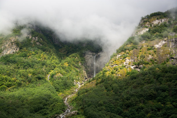 奈瑞峡湾