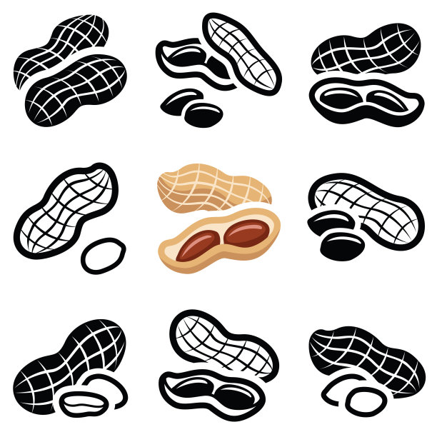 earthnut