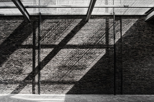 monochrome