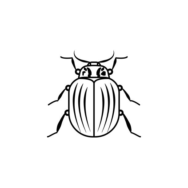 beetles