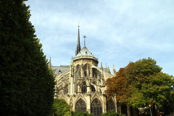 巴黎圣母院窗户