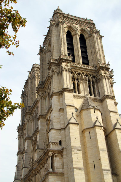 巴黎圣母院窗户