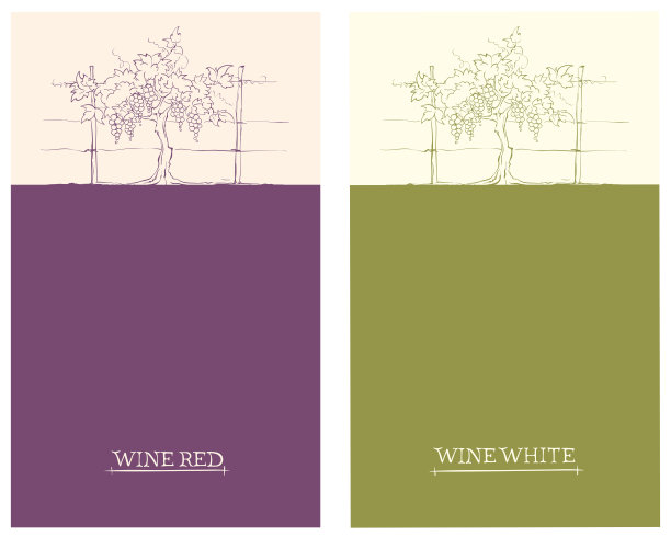vineyard