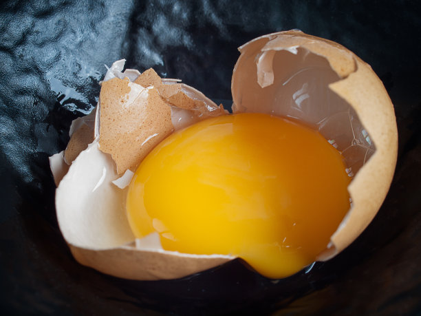 yolk