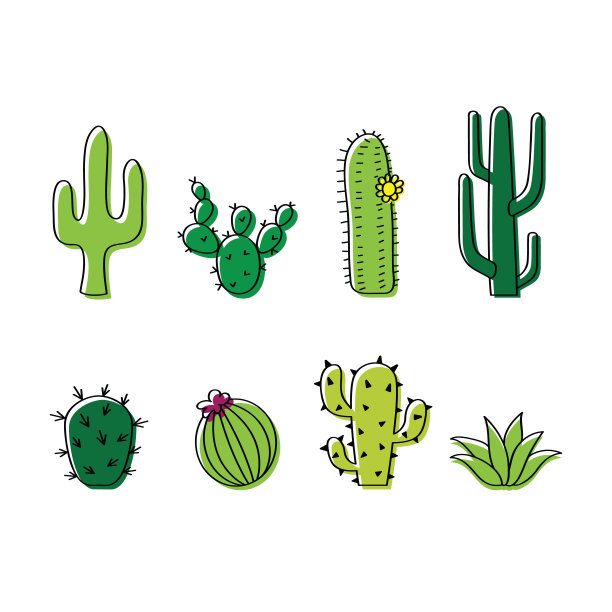cactus