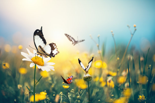springtime
